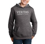 Veritas Stripes Comfort Fleece Hooded Sweatshirt (Quick Ship)